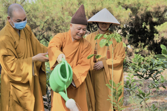 Học viện Phật giáo Hà Nội hưởng ứng phong trào “Trồng một tỷ cây xanh vì một Việt Nam xanh”